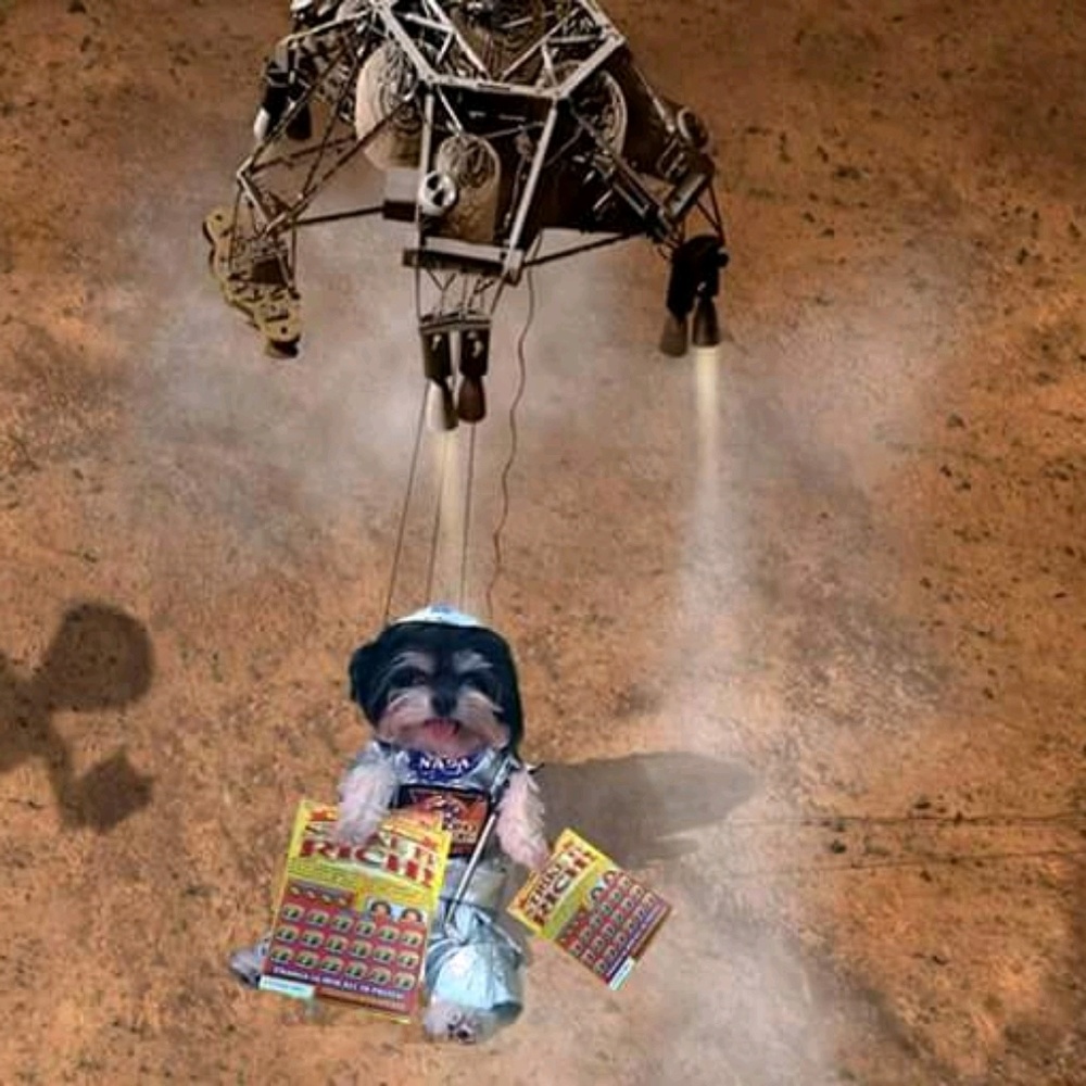 Meet your Posher, Mira